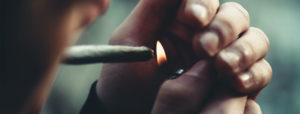 Consumo de cannabis